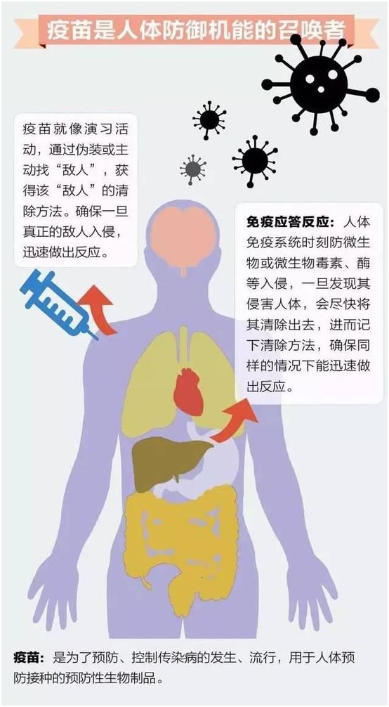 疫苗科普4 专家解读 有关疫苗的14个基本知识 上