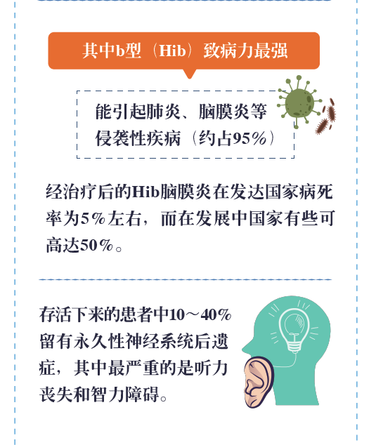 一图读懂 B型流感嗜血杆菌结合疫苗 一图读懂 B型流感嗜血杆菌结合疫苗